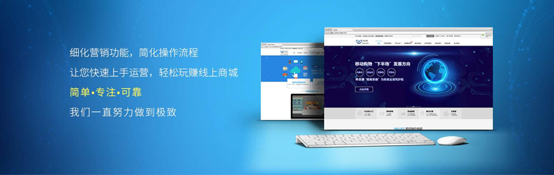 網站程序開發(fā)